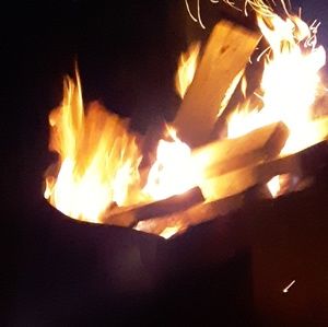 Meet your Posher, Ella